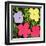 Flowers, c.1970 (1 purple, 1 yellow, 2 pink)-Andy Warhol-Framed Art Print