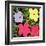 Flowers, c.1970 (1 purple, 1 yellow, 2 pink)-Andy Warhol-Framed Art Print