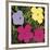 Flowers, c.1970 (1 Purple, c.1 Yellow, 2 Pink)-Andy Warhol-Framed Giclee Print