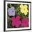 Flowers, c.1970 (1 Purple, c.1 Yellow, 2 Pink)-Andy Warhol-Framed Giclee Print