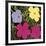 Flowers, c.1970 (1 Purple, c.1 Yellow, 2 Pink)-Andy Warhol-Framed Giclee Print