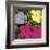 Flowers, c.1970 (1 Purple, c.1 Yellow, 2 Pink)-Andy Warhol-Framed Giclee Print