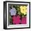 Flowers, c.1970 (1 Purple, c.1 Yellow, 2 Pink)-Andy Warhol-Framed Giclee Print