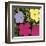 Flowers, c.1970 (1 Purple, c.1 Yellow, 2 Pink)-Andy Warhol-Framed Giclee Print