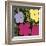 Flowers, c.1970 (1 Purple, c.1 Yellow, 2 Pink)-Andy Warhol-Framed Giclee Print