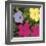 Flowers, c.1970 (1 Purple, c.1 Yellow, 2 Pink)-Andy Warhol-Framed Giclee Print