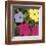 Flowers, c.1970 (1 Purple, c.1 Yellow, 2 Pink)-Andy Warhol-Framed Giclee Print