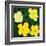 Flowers, c.1970 (4 yellow)-Andy Warhol-Framed Art Print