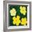 Flowers, c.1970 (4 yellow)-Andy Warhol-Framed Art Print