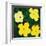 Flowers, c.1970 (4 yellow)-Andy Warhol-Framed Art Print