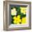 Flowers, c.1970 (Yellow)-Andy Warhol-Framed Art Print