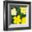 Flowers, c.1970 (Yellow)-Andy Warhol-Framed Art Print