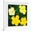 Flowers, c.1970 (Yellow)-Andy Warhol-Framed Giclee Print