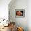 Flowers Carved from Fruit and Vegetables in a Bowl-Eising Studio Food Photo and Video-Framed Photographic Print displayed on a wall