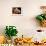 Flowers Carved from Fruit and Vegetables in a Bowl-Eising Studio Food Photo and Video-Framed Photographic Print displayed on a wall