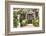 Flowers Decoration of Vintage Courtyard, Typical House in Cordoba - Spain, European Travel-Taiga-Framed Photographic Print