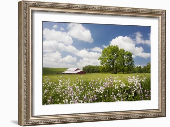 Flowers & Farm, Holmes County, Ohio ‘10-Monte Nagler-Framed Photographic Print