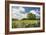 Flowers & Farm, Holmes County, Ohio ‘10-Monte Nagler-Framed Photographic Print