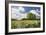 Flowers & Farm, Holmes County, Ohio ‘10-Monte Nagler-Framed Photographic Print