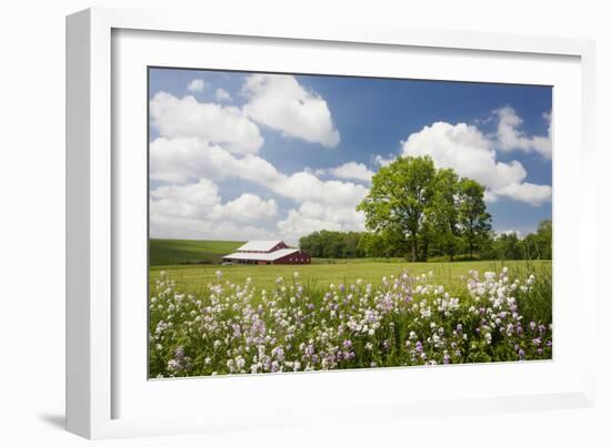 Flowers & Farm, Holmes County, Ohio ‘10-Monte Nagler-Framed Photographic Print