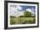 Flowers & Farm, Holmes County, Ohio ‘10-Monte Nagler-Framed Photographic Print