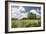 Flowers & Farm, Holmes County, Ohio ‘10-Monte Nagler-Framed Photographic Print