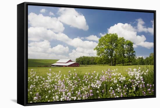 Flowers & Farm, Holmes County, Ohio ‘10-Monte Nagler-Framed Stretched Canvas