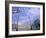 Flowers, Flags and Guards at the Presidential Palace, Santiago, Chile-Lin Alder-Framed Photographic Print