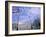 Flowers, Flags and Guards at the Presidential Palace, Santiago, Chile-Lin Alder-Framed Photographic Print