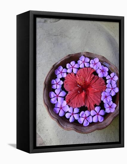 Flowers Floating in Bowl of Water-Douglas Peebles-Framed Premier Image Canvas