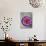 Flowers Floating in Bowl of Water-Douglas Peebles-Photographic Print displayed on a wall