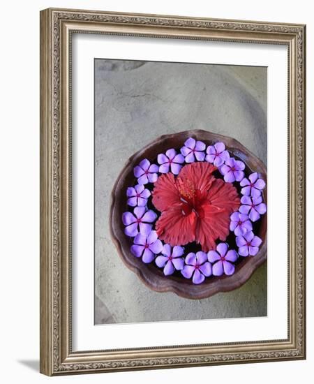 Flowers Floating in Bowl of Water-Douglas Peebles-Framed Photographic Print