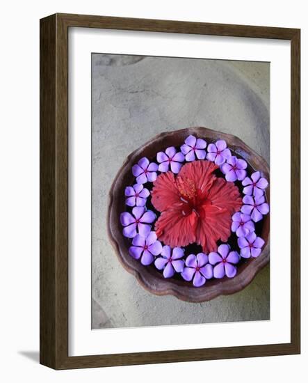 Flowers Floating in Bowl of Water-Douglas Peebles-Framed Photographic Print