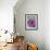 Flowers Floating in Bowl of Water-Douglas Peebles-Framed Photographic Print displayed on a wall