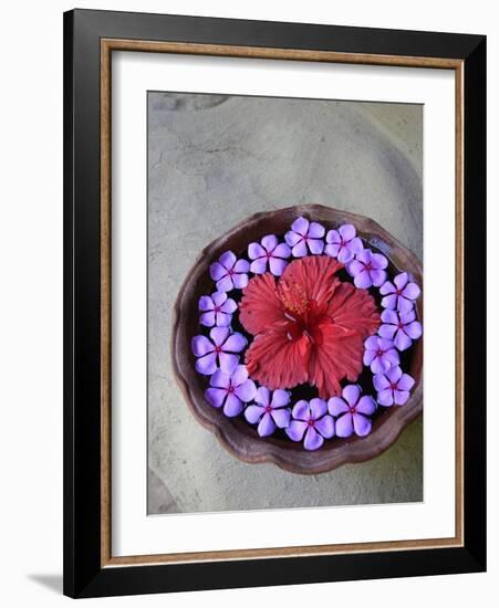 Flowers Floating in Bowl of Water-Douglas Peebles-Framed Photographic Print