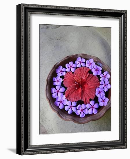 Flowers Floating in Bowl of Water-Douglas Peebles-Framed Photographic Print