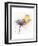 Flowers & Flutters-Sillier than Sally-Framed Art Print