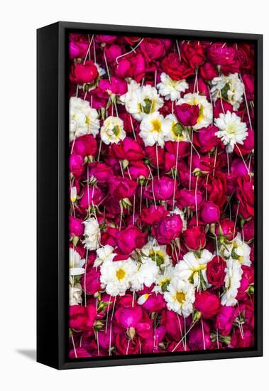 Flowers for offering at a Hindu temple, New Delhi, India, Asia-Matthew Williams-Ellis-Framed Premier Image Canvas