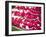 Flowers for offering at a Hindu temple, New Delhi, India, Asia-Matthew Williams-Ellis-Framed Photographic Print