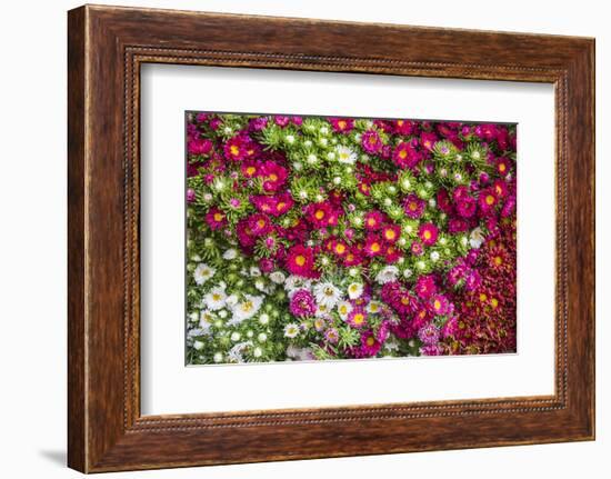 Flowers for Sale at Hsipaw (Thibaw) Market, Shan State, Myanmar (Burma), Asia-Matthew Williams-Ellis-Framed Photographic Print