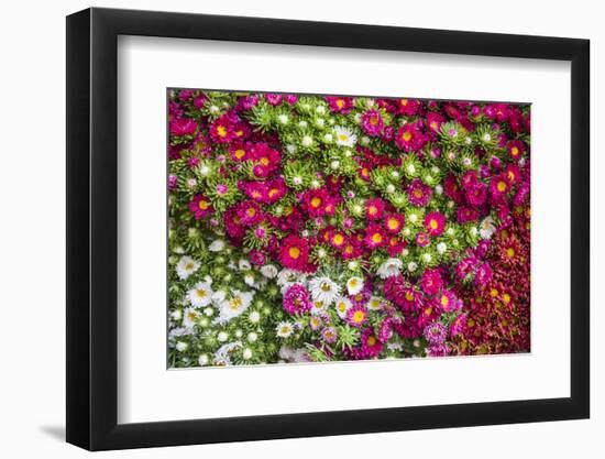 Flowers for Sale at Hsipaw (Thibaw) Market, Shan State, Myanmar (Burma), Asia-Matthew Williams-Ellis-Framed Photographic Print