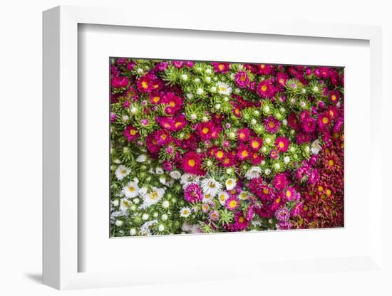Flowers for Sale at Hsipaw (Thibaw) Market, Shan State, Myanmar (Burma), Asia-Matthew Williams-Ellis-Framed Photographic Print