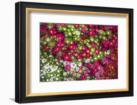 Flowers for Sale at Hsipaw (Thibaw) Market, Shan State, Myanmar (Burma), Asia-Matthew Williams-Ellis-Framed Photographic Print