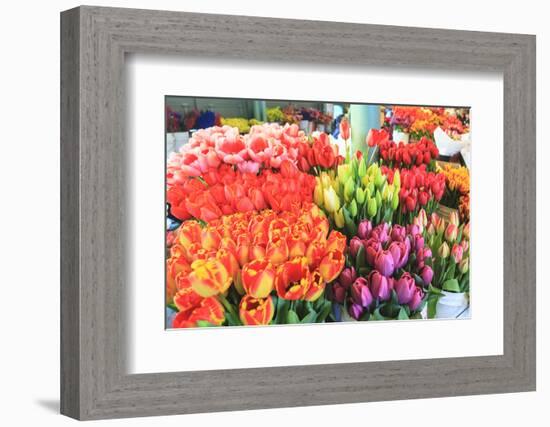 Flowers for sale at Pike Place Market in late spring, Seattle, Washington State, USA-Stuart Westmorland-Framed Photographic Print