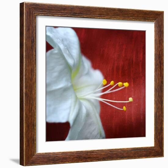 Flowers for Zoe-Philippe Sainte-Laudy-Framed Photographic Print