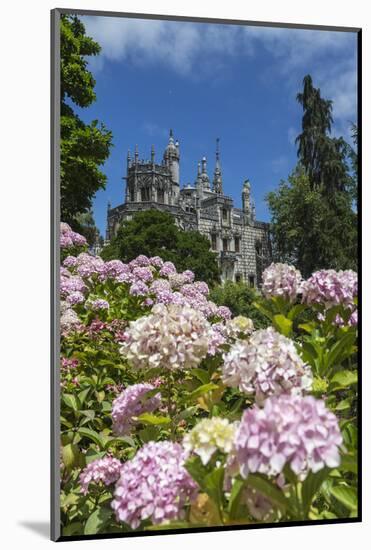 Flowers Frame Old Mystical Buildings of Romanesque Gothic and Renaissance Style-Roberto Moiola-Mounted Photographic Print