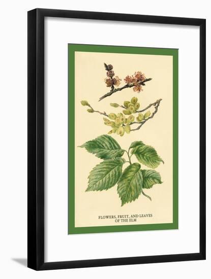 Flowers, Fruits and Leaves of the Elm-W.h.j. Boot-Framed Art Print