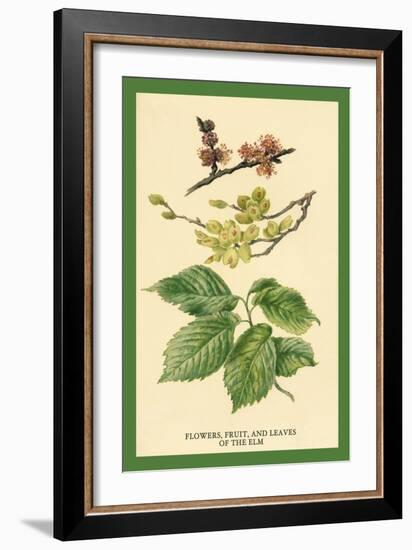 Flowers, Fruits and Leaves of the Elm-W.h.j. Boot-Framed Art Print
