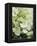 Flowers, Goa, India-R H Productions-Framed Premier Image Canvas