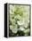 Flowers, Goa, India-R H Productions-Framed Premier Image Canvas